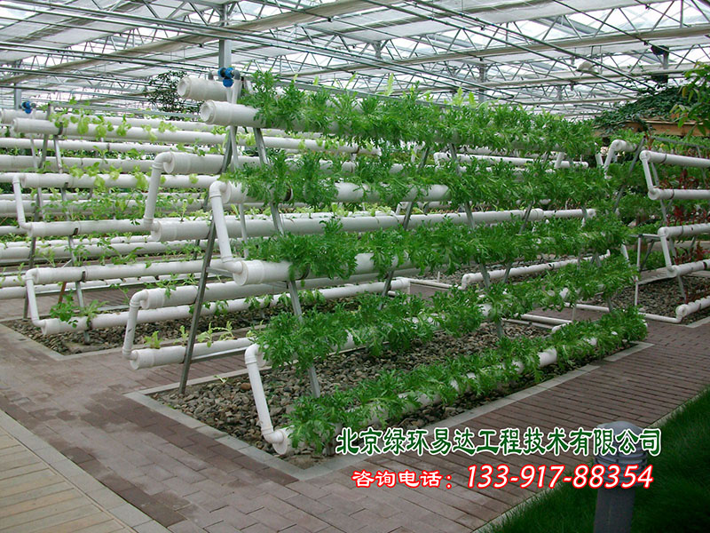 立体无土栽培设施—管道式水培