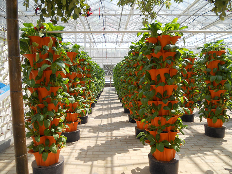 立体无土栽培设施—管道式水培