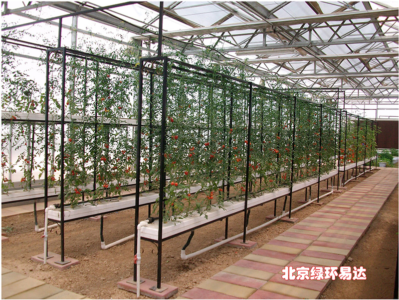 立体无土栽培设施水培