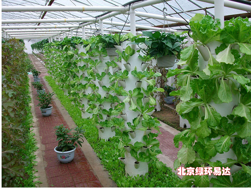 立体无土栽培设施立柱式栽培