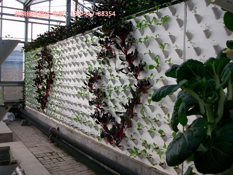 立体无土栽培设施-立体墙面栽培
