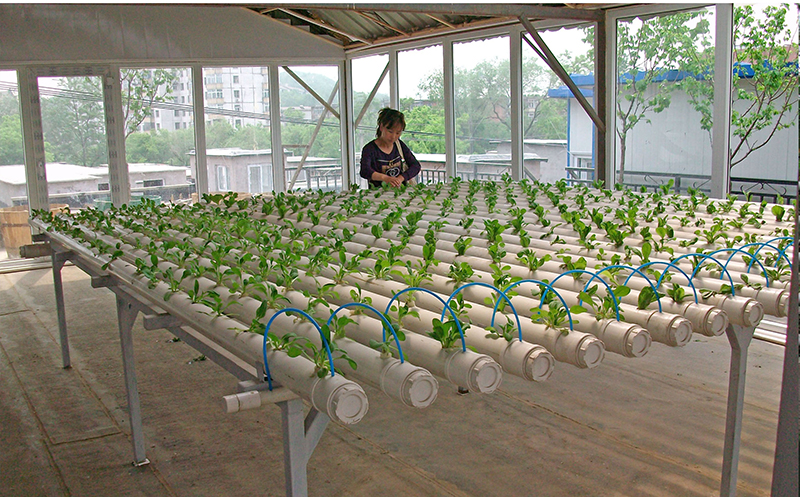 立体无土栽培设施-PP平铺管道栽培